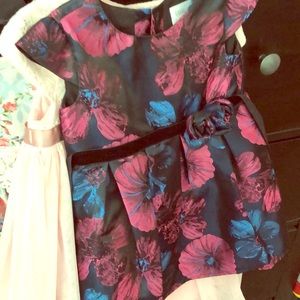 Beauty toddler girls dress.